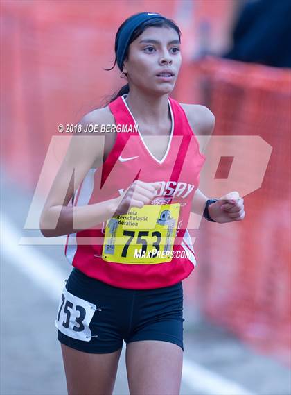Thumbnail 3 in CIF State Cross Country Championships (Girls D4 Race) photogallery.