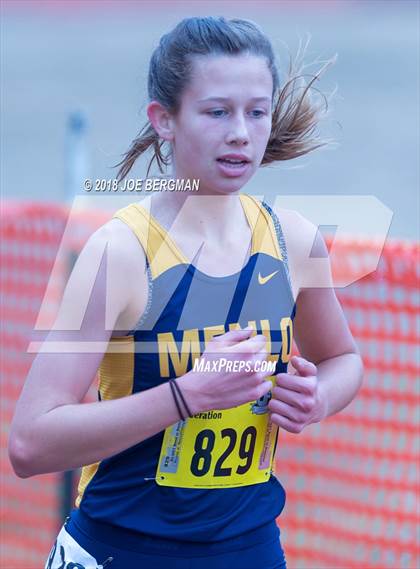 Thumbnail 1 in CIF State Cross Country Championships (Girls D4 Race) photogallery.