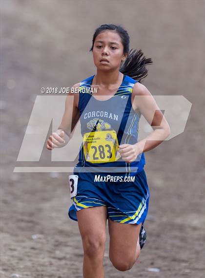 Thumbnail 2 in CIF State Cross Country Championships (Girls D4 Race) photogallery.