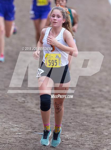 Thumbnail 3 in CIF State Cross Country Championships (Girls D4 Race) photogallery.