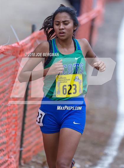 Thumbnail 3 in CIF State Cross Country Championships (Girls D4 Race) photogallery.