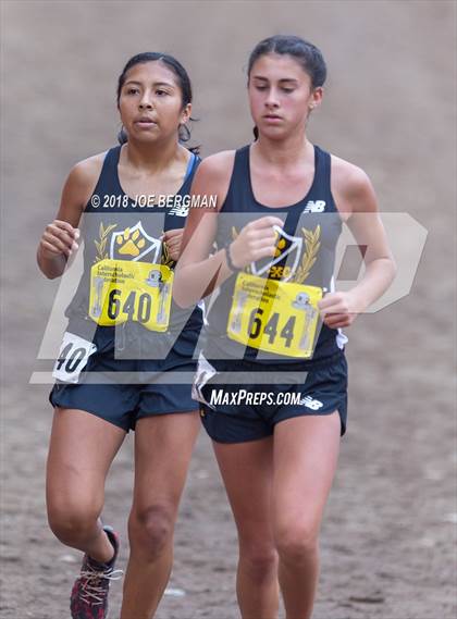 Thumbnail 1 in CIF State Cross Country Championships (Girls D4 Race) photogallery.