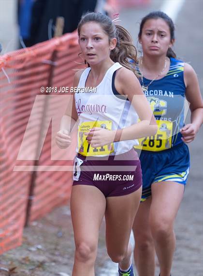 Thumbnail 1 in CIF State Cross Country Championships (Girls D4 Race) photogallery.