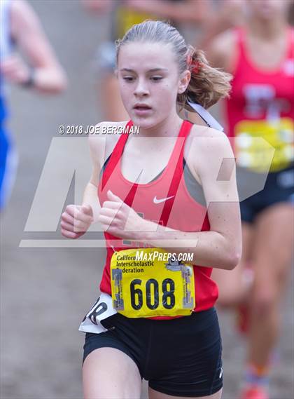 Thumbnail 1 in CIF State Cross Country Championships (Girls D4 Race) photogallery.