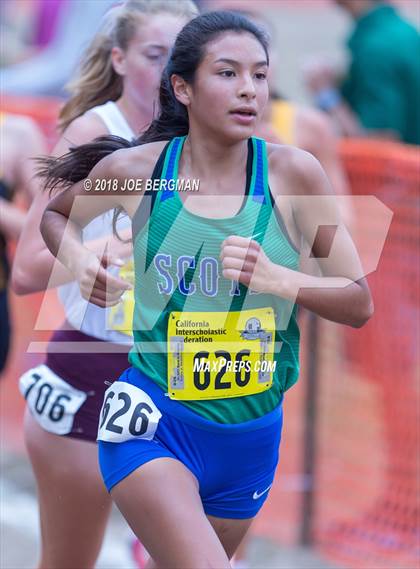 Thumbnail 1 in CIF State Cross Country Championships (Girls D4 Race) photogallery.