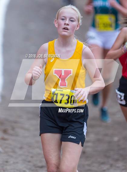 Thumbnail 1 in CIF State Cross Country Championships (Girls D4 Race) photogallery.