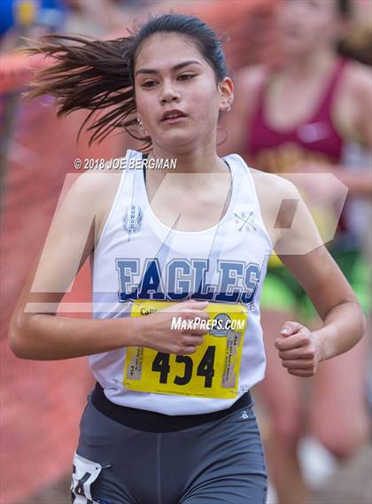 Thumbnail 1 in CIF State Cross Country Championships (Girls D4 Race) photogallery.
