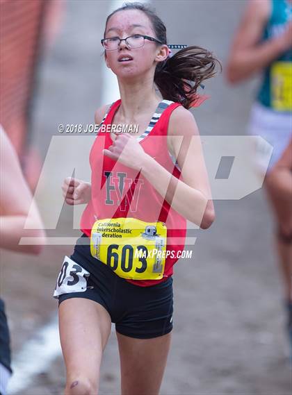 Thumbnail 2 in CIF State Cross Country Championships (Girls D4 Race) photogallery.