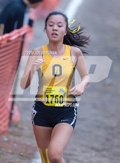 Thumbnail 1 in CIF State Cross Country Championships (Girls D4 Race) photogallery.