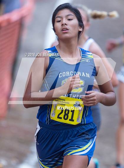 Thumbnail 2 in CIF State Cross Country Championships (Girls D4 Race) photogallery.