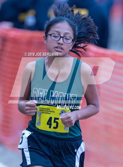 Thumbnail 2 in CIF State Cross Country Championships (Girls D4 Race) photogallery.
