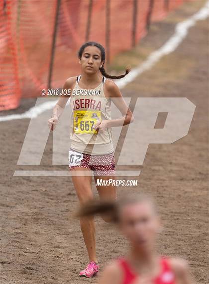 Thumbnail 1 in CIF State Cross Country Championships (Girls D4 Race) photogallery.
