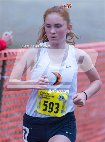 Thumbnail 1 in CIF State Cross Country Championships (Girls D4 Race) photogallery.