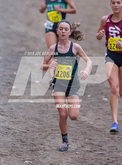 Thumbnail 3 in CIF State Cross Country Championships (Girls D4 Race) photogallery.