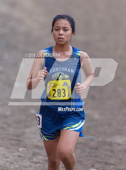 Thumbnail 3 in CIF State Cross Country Championships (Girls D4 Race) photogallery.