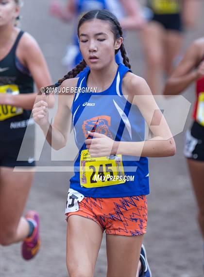 Thumbnail 3 in CIF State Cross Country Championships (Girls D4 Race) photogallery.