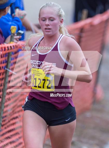 Thumbnail 1 in CIF State Cross Country Championships (Girls D4 Race) photogallery.
