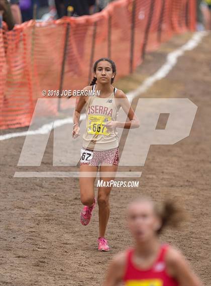 Thumbnail 2 in CIF State Cross Country Championships (Girls D4 Race) photogallery.