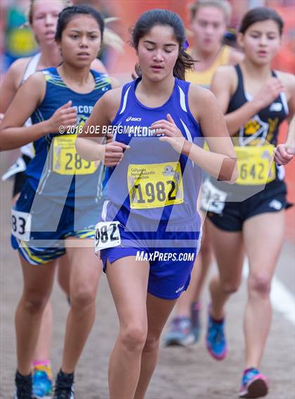Thumbnail 3 in CIF State Cross Country Championships (Girls D4 Race) photogallery.