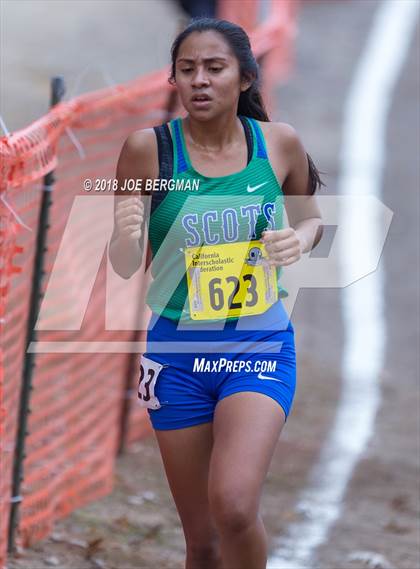 Thumbnail 1 in CIF State Cross Country Championships (Girls D4 Race) photogallery.
