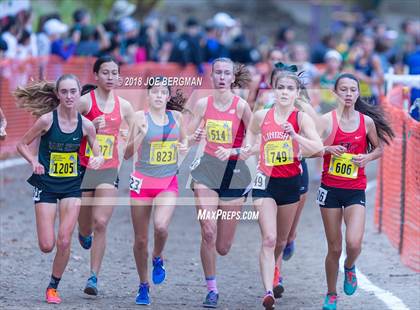 Thumbnail 3 in CIF State Cross Country Championships (Girls D4 Race) photogallery.