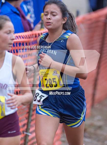 Thumbnail 3 in CIF State Cross Country Championships (Girls D4 Race) photogallery.