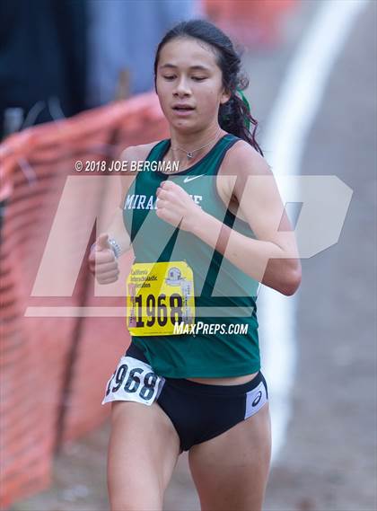 Thumbnail 1 in CIF State Cross Country Championships (Girls D4 Race) photogallery.