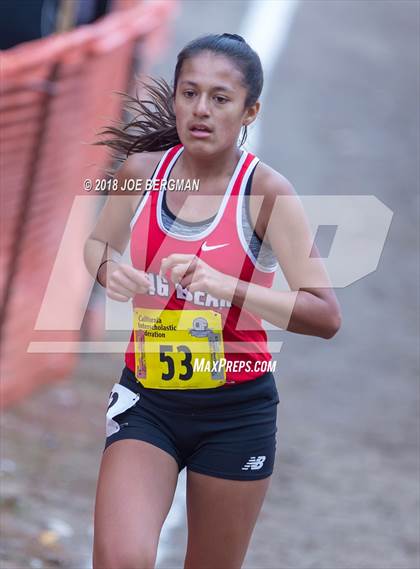 Thumbnail 3 in CIF State Cross Country Championships (Girls D4 Race) photogallery.