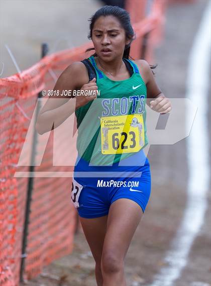 Thumbnail 2 in CIF State Cross Country Championships (Girls D4 Race) photogallery.