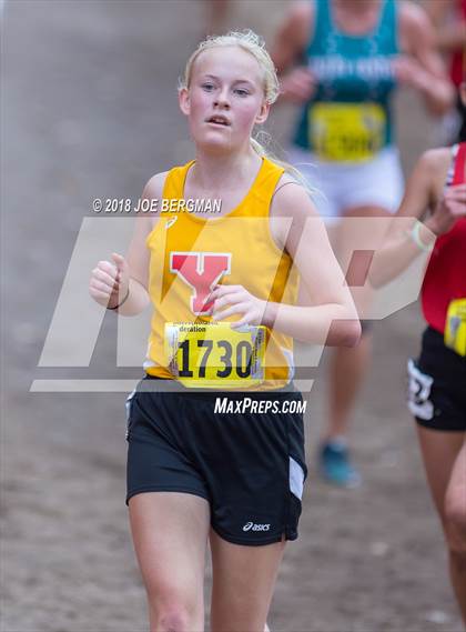 Thumbnail 3 in CIF State Cross Country Championships (Girls D4 Race) photogallery.