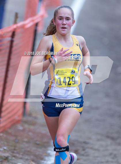 Thumbnail 1 in CIF State Cross Country Championships (Girls D4 Race) photogallery.