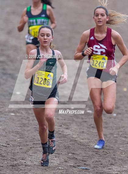 Thumbnail 1 in CIF State Cross Country Championships (Girls D4 Race) photogallery.