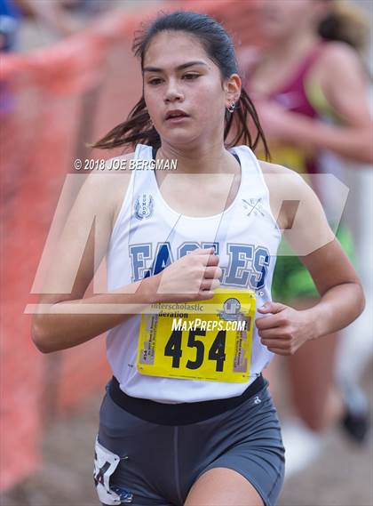 Thumbnail 3 in CIF State Cross Country Championships (Girls D4 Race) photogallery.