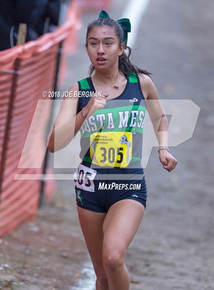 Thumbnail 2 in CIF State Cross Country Championships (Girls D4 Race) photogallery.