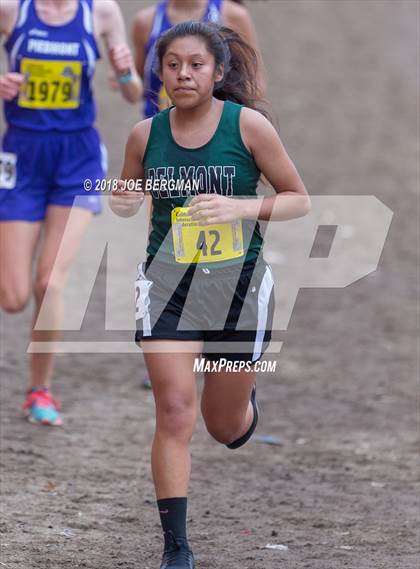 Thumbnail 1 in CIF State Cross Country Championships (Girls D4 Race) photogallery.