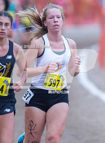 Thumbnail 2 in CIF State Cross Country Championships (Girls D4 Race) photogallery.