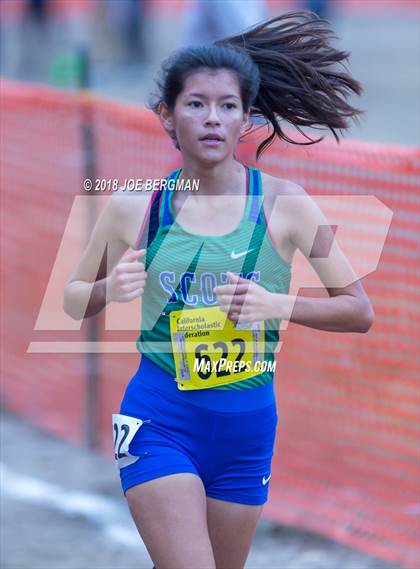 Thumbnail 1 in CIF State Cross Country Championships (Girls D4 Race) photogallery.