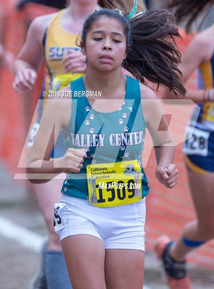 Thumbnail 3 in CIF State Cross Country Championships (Girls D4 Race) photogallery.
