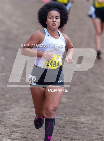 Thumbnail 2 in CIF State Cross Country Championships (Girls D4 Race) photogallery.