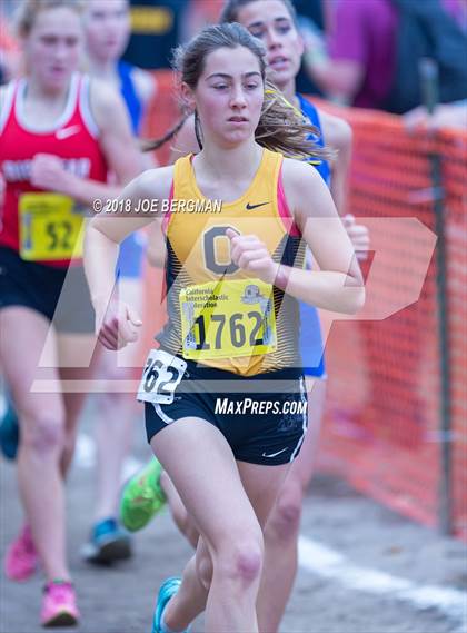 Thumbnail 1 in CIF State Cross Country Championships (Girls D4 Race) photogallery.