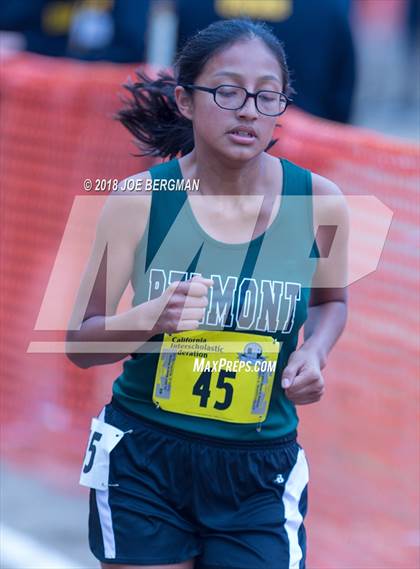 Thumbnail 3 in CIF State Cross Country Championships (Girls D4 Race) photogallery.