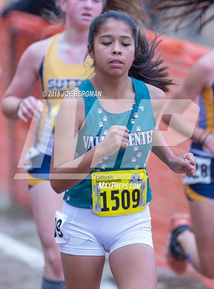Thumbnail 1 in CIF State Cross Country Championships (Girls D4 Race) photogallery.