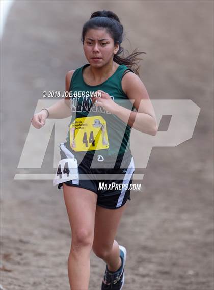 Thumbnail 2 in CIF State Cross Country Championships (Girls D4 Race) photogallery.