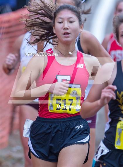 Thumbnail 1 in CIF State Cross Country Championships (Girls D4 Race) photogallery.