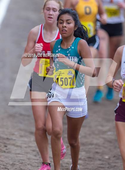 Thumbnail 1 in CIF State Cross Country Championships (Girls D4 Race) photogallery.