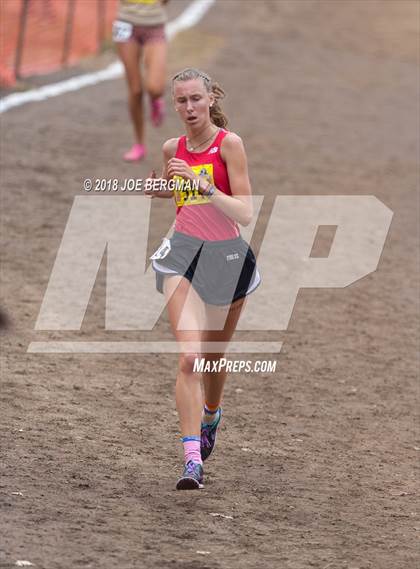 Thumbnail 2 in CIF State Cross Country Championships (Girls D4 Race) photogallery.