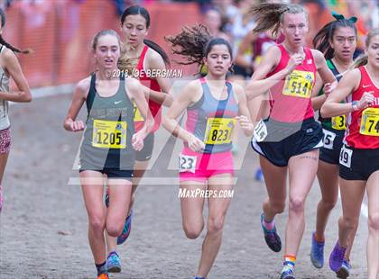 Thumbnail 2 in CIF State Cross Country Championships (Girls D4 Race) photogallery.
