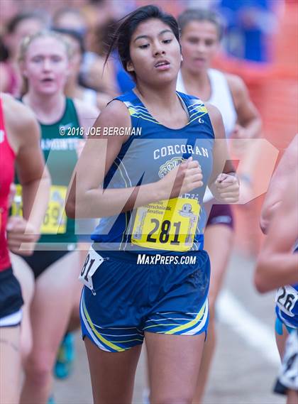Thumbnail 1 in CIF State Cross Country Championships (Girls D4 Race) photogallery.