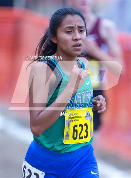 Thumbnail 2 in CIF State Cross Country Championships (Girls D4 Race) photogallery.