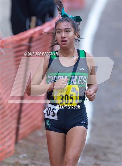 Thumbnail 1 in CIF State Cross Country Championships (Girls D4 Race) photogallery.
